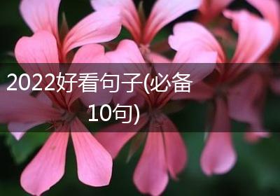 2022好看句子(必备10句)
