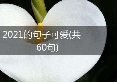 2021的句子可爱(共60句)