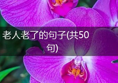 老人老了的句子(共50句)