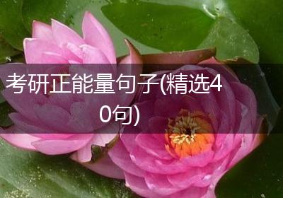 考研正能量句子(精选40句)