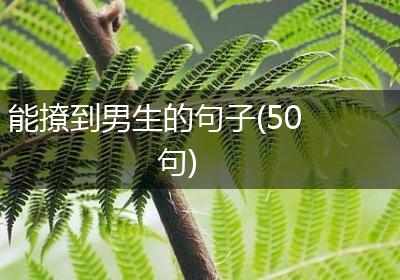 能撩到男生的句子(50句)