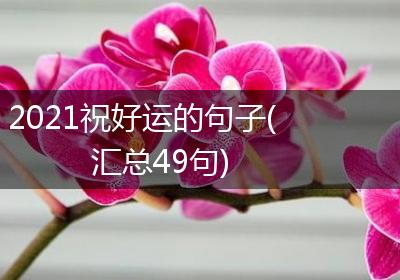 2021祝好运的句子(汇总49句)