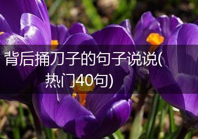 背后捅刀子的句子说说(热门40句)