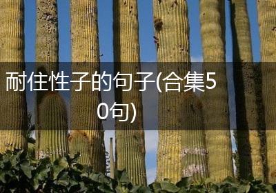 耐住性子的句子(合集50句)