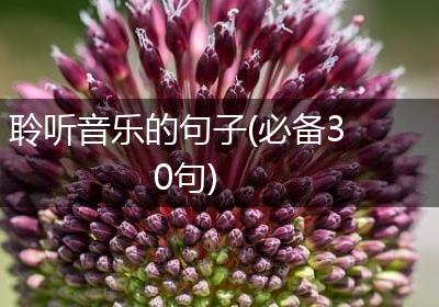 聆听音乐的句子(必备30句)