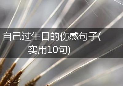 自己过生日的伤感句子(实用10句)