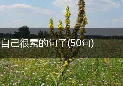 自己很累的句子(50句)