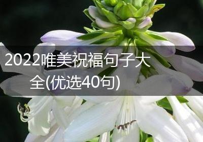 2022唯美祝福句子大全(优选40句)