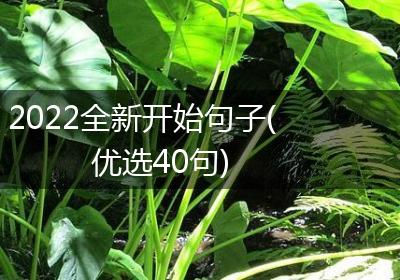 2022全新开始句子(优选40句)