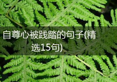 自尊心被践踏的句子(精选15句)