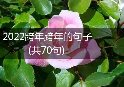 2022跨年跨年的句子(共70句)