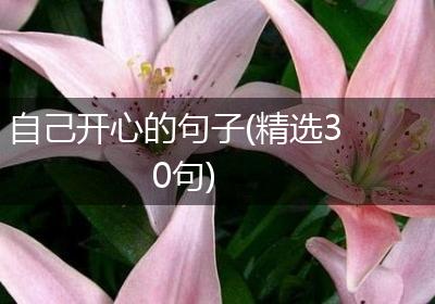 自己开心的句子(精选30句)