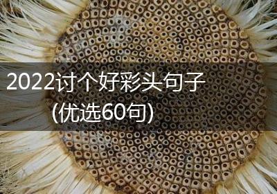 2022讨个好彩头句子(优选60句)