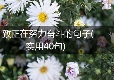 致正在努力奋斗的句子(实用40句)