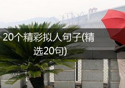 20个精彩拟人句子(精选20句)