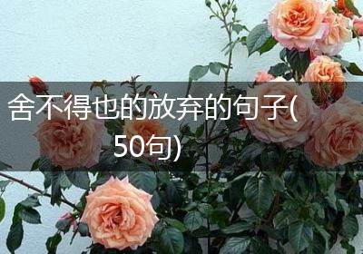 舍不得也的放弃的句子(50句)
