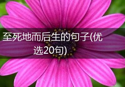 至死地而后生的句子(优选20句)