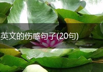 英文的伤感句子(20句)
