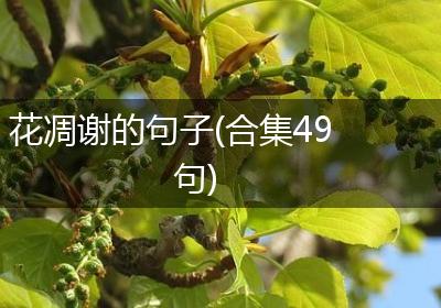 花凋谢的句子(合集49句)