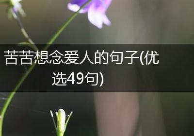 苦苦想念爱人的句子(优选49句)