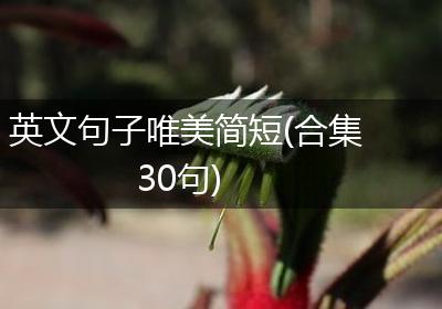 英文句子唯美简短(合集30句)