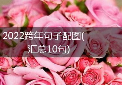 2022跨年句子配图(汇总10句)