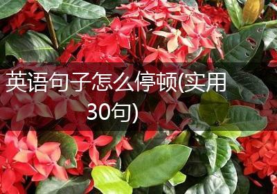 英语句子怎么停顿(实用30句)