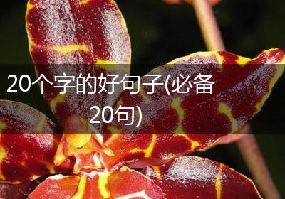 20个字的好句子(必备20句)