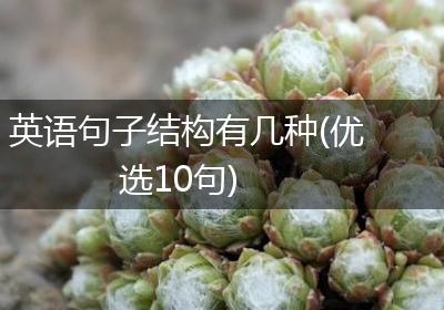 英语句子结构有几种(优选10句)
