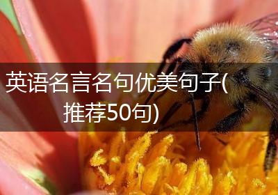 英语名言名句优美句子(推荐50句)