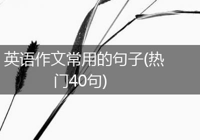 英语作文常用的句子(热门40句)