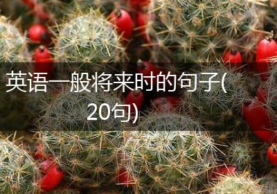 英语一般将来时的句子(20句)