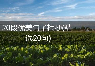 20段优美句子摘抄(精选20句)