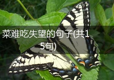 菜难吃失望的句子(共15句)
