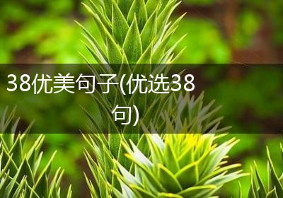 38优美句子(优选38句)