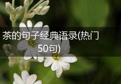茶的句子经典语录(热门50句)
