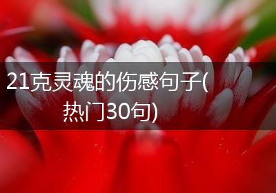 21克灵魂的伤感句子(热门30句)