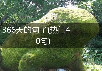 366天的句子(热门40句)