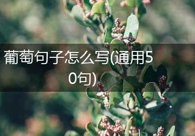 葡萄句子怎么写(通用50句)