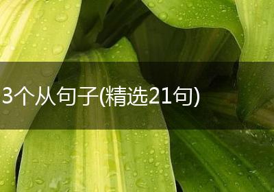 3个从句子(精选21句)