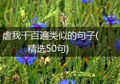 虐我千百遍类似的句子(精选50句)