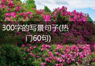300字的写景句子(热门60句)