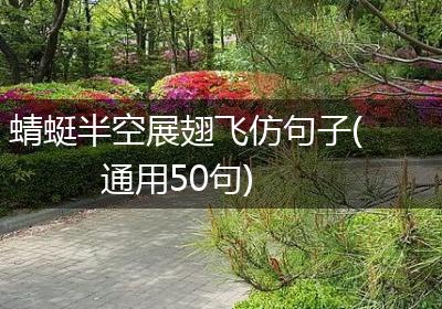 蜻蜓半空展翅飞仿句子(通用50句)