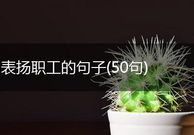 表扬职工的句子(50句)