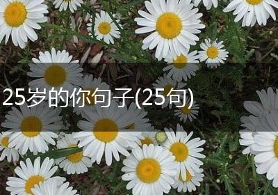 25岁的你句子(25句)