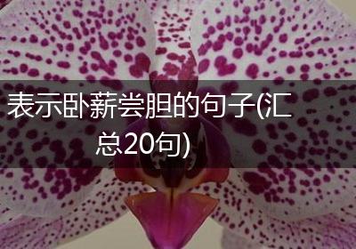 表示卧薪尝胆的句子(汇总20句)