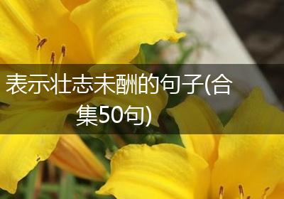 表示壮志未酬的句子(合集50句)
