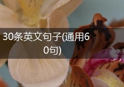 30条英文句子(通用60句)