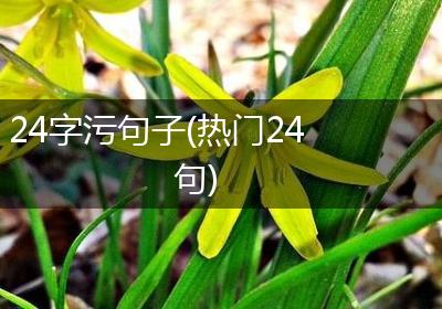 24字污句子(热门24句)