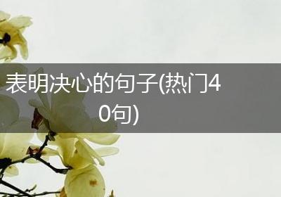 表明决心的句子(热门40句)